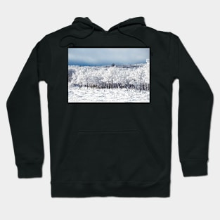 Extreme Cold. Hoodie